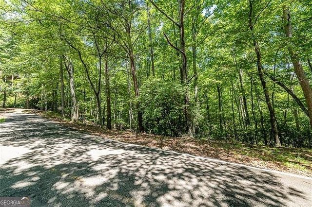 64 Wrens Nest, Big Canoe, GA 30143