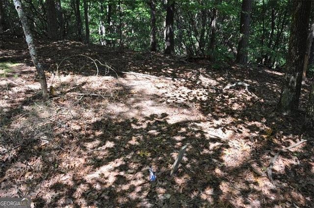 64 Wrens Nest, Big Canoe, GA 30143