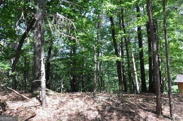 64 Wrens Nest, Big Canoe, GA 30143