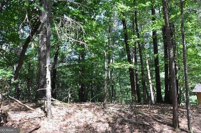 64 Wrens Nest, Big Canoe, GA 30143