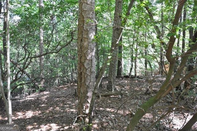 64 Wrens Nest, Big Canoe, GA 30143