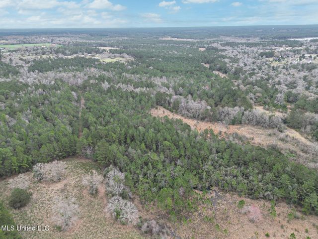 Highway 43 Parcel 1 And 2, Kiln, MS 39556