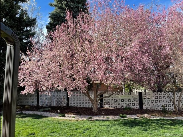 5401 W Lakeridge Road, Lakewood, CO 80227