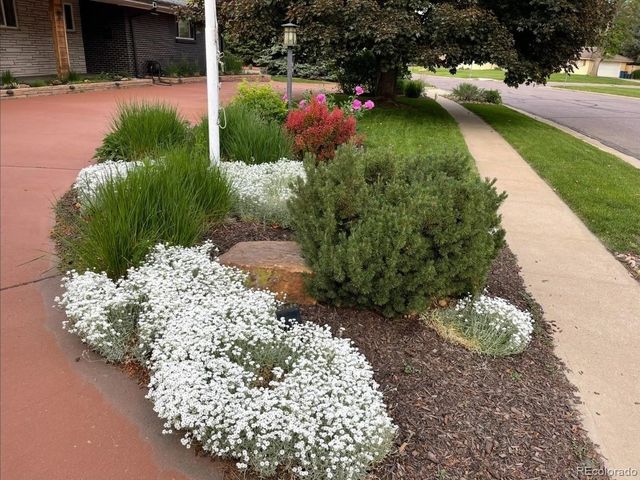 5401 W Lakeridge Road, Lakewood, CO 80227