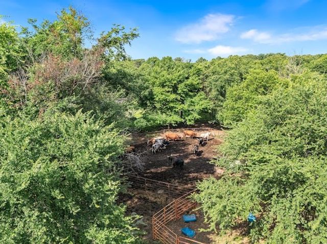 2151 County Road 113, Whitesboro, TX 76273