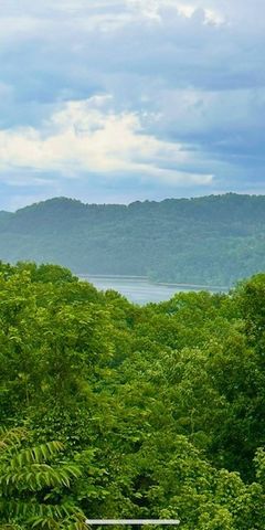 1038 Lakeside Dr, Smithville, TN 37166