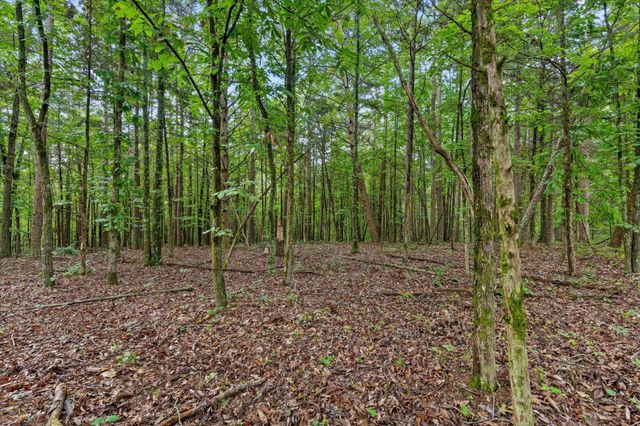 12712 Cranfield Road, Birchwood, TN 37308