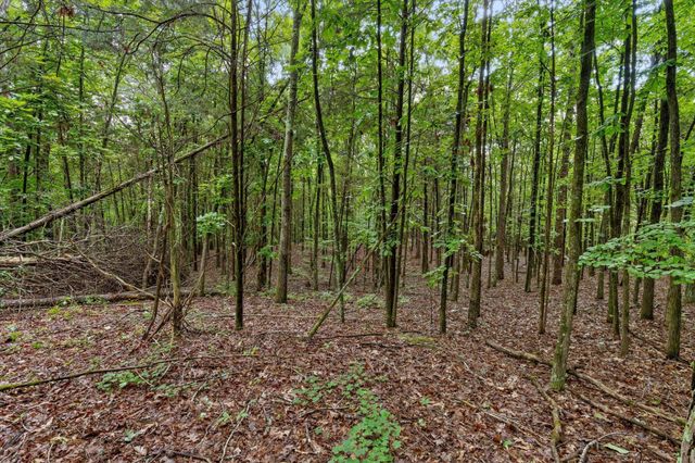 12712 Cranfield Road, Birchwood, TN 37308