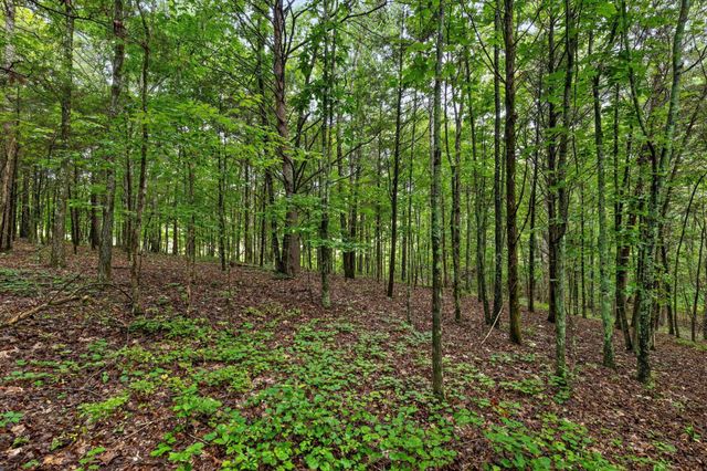 12712 Cranfield Road, Birchwood, TN 37308