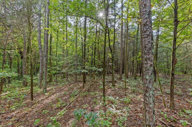 12712 Cranfield Road, Birchwood, TN 37308