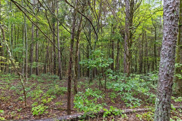 12712 Cranfield Road, Birchwood, TN 37308
