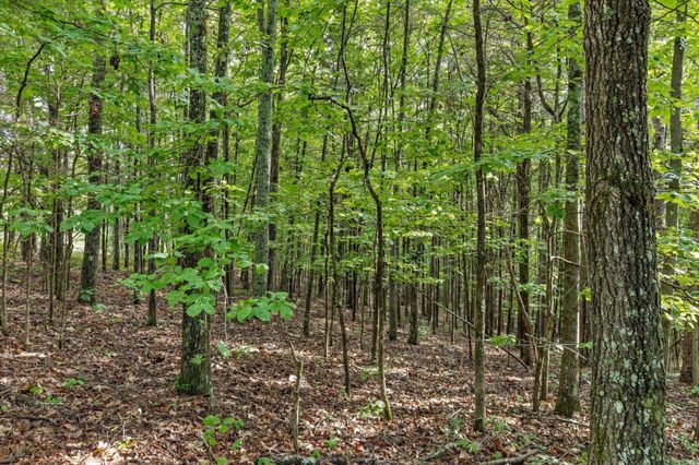 12712 Cranfield Road, Birchwood, TN 37308