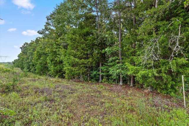 12712 Cranfield Road, Birchwood, TN 37308