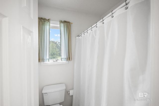 12411 County Road 91, Lillian, AL 36549