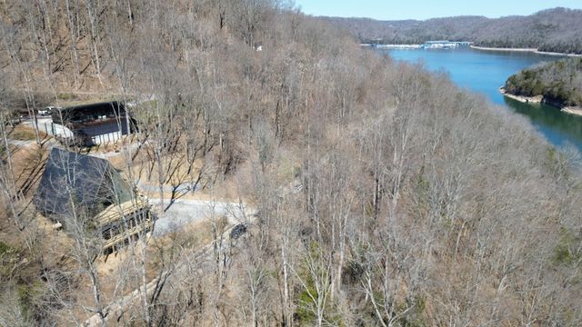 1196 Lakeside Dr, Smithville, TN 37166