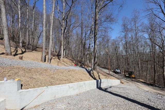 1196 Lakeside Dr, Smithville, TN 37166