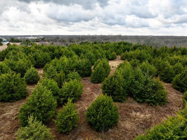 8389 County Road 502, Blue Ridge, TX 75424