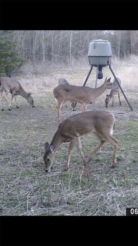 8389 County Road 502, Blue Ridge, TX 75424