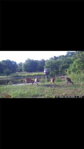 8389 County Road 502, Blue Ridge, TX 75424