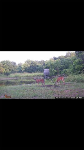 8389 County Road 502, Blue Ridge, TX 75424