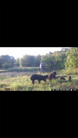 8389 County Road 502, Blue Ridge, TX 75424