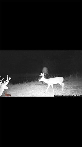 8389 County Road 502, Blue Ridge, TX 75424