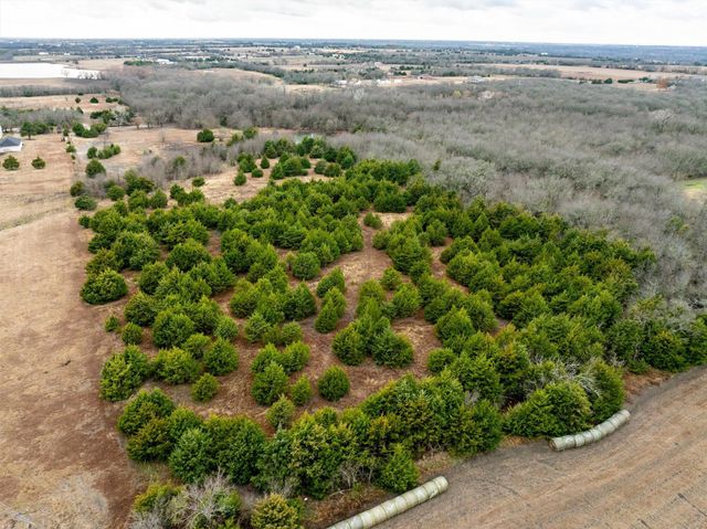 8389 County Road 502, Blue Ridge, TX 75424