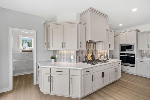 3721 Elliana Place, Shakopee, MN 55379