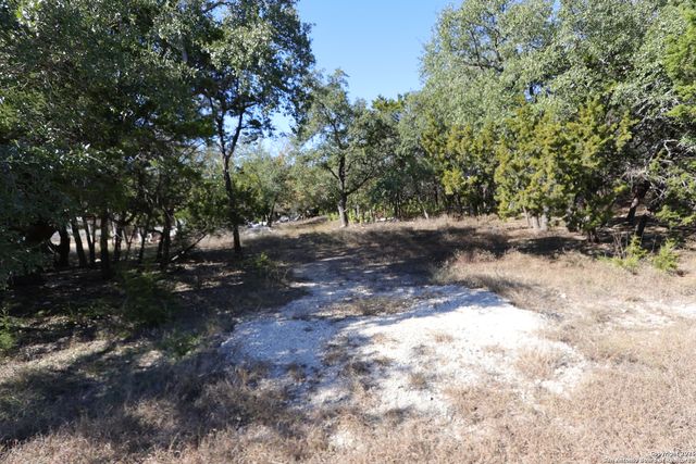 1433 Chestnut Springs, Bulverde, TX 78163