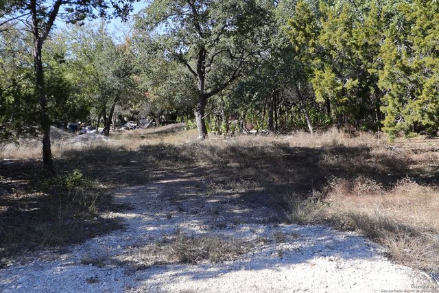 1433 Chestnut Springs, Bulverde, TX 78163