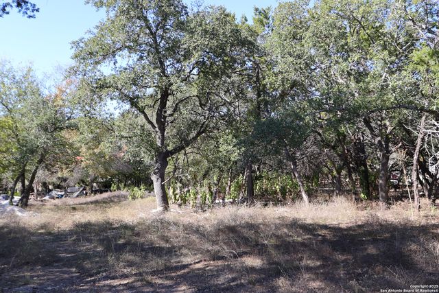 1433 Chestnut Springs, Bulverde, TX 78163