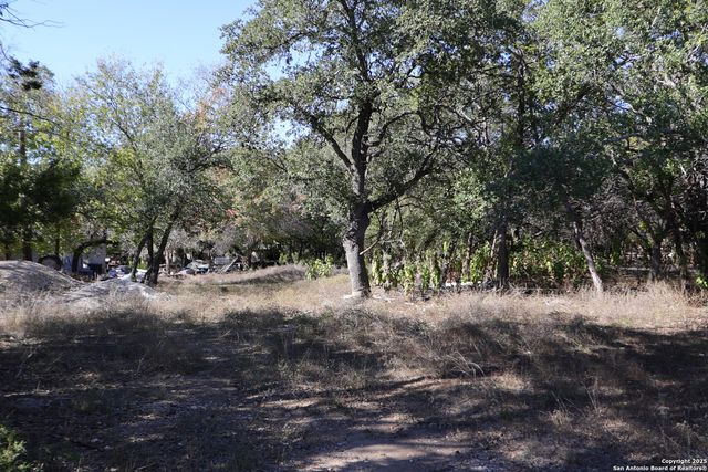 1433 Chestnut Springs, Bulverde, TX 78163