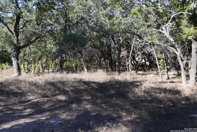 1433 Chestnut Springs, Bulverde, TX 78163