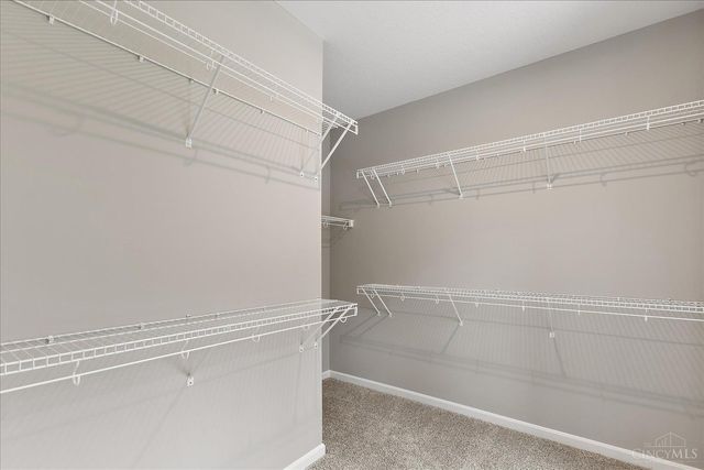 1595 Summerview Lane, Miami Twp, OH 45150