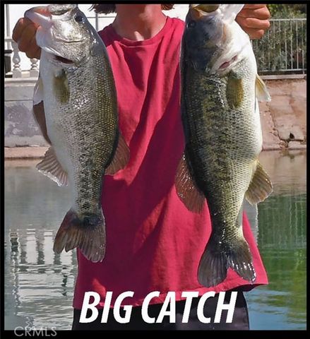 26701 Blue Water Road, Helendale, CA 92342