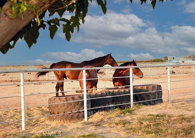 26701 Blue Water Road, Helendale, CA 92342