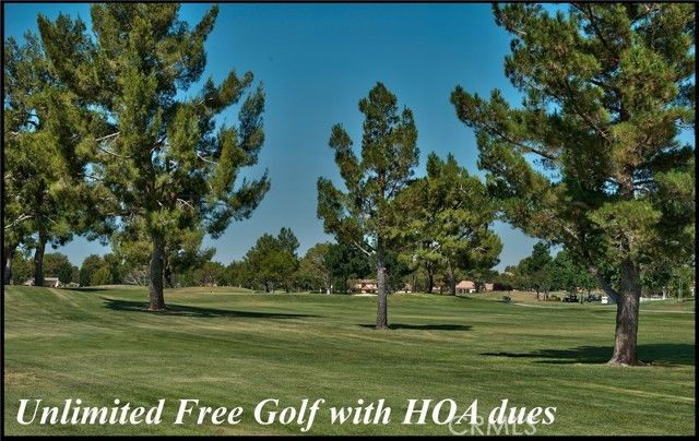 26701 Blue Water Road, Helendale, CA 92342