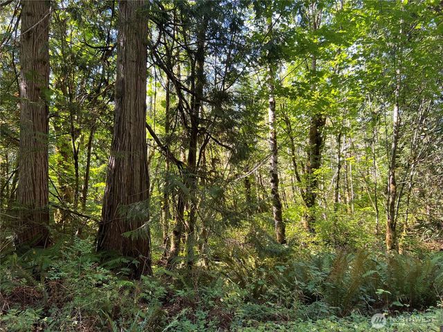 28897 X Highway 101, Quilcene, WA 98376
