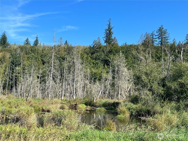 28897 X Highway 101, Quilcene, WA 98376