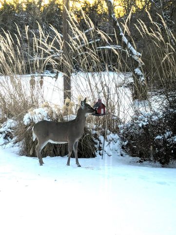 2609 Rogers Boulevard, Manhattan, KS 66502