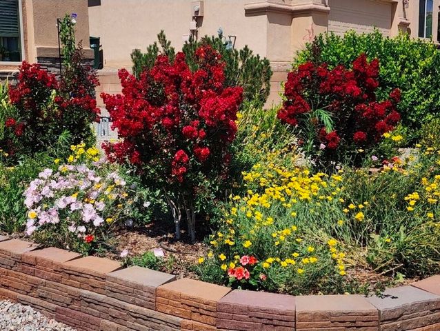 2563 Cerro Parrido Road SE, Rio Rancho, NM 87124