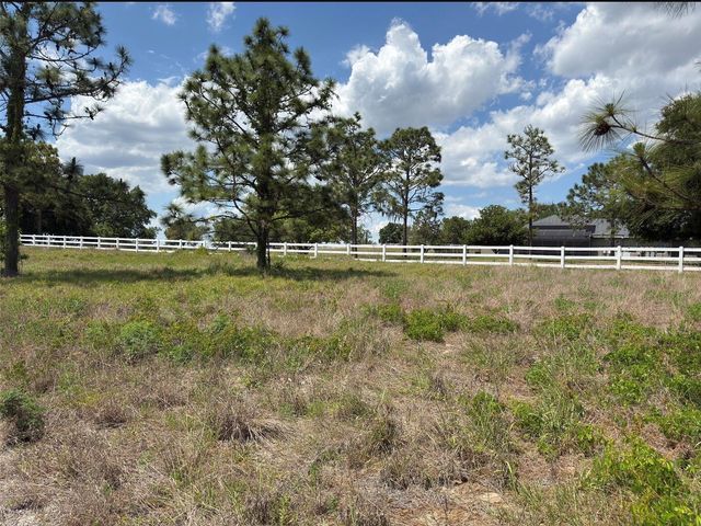 6115 RANCH LAKE ROAD, Groveland, FL 34736