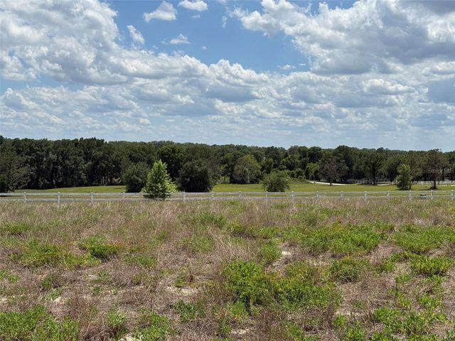 6115 RANCH LAKE ROAD, Groveland, FL 34736