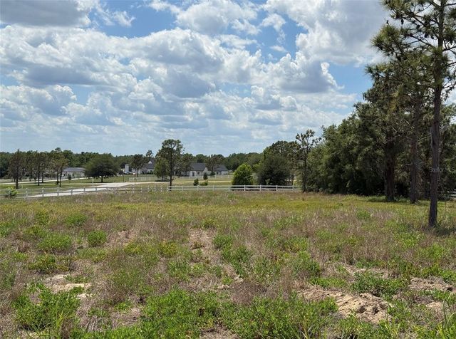 6115 RANCH LAKE ROAD, Groveland, FL 34736
