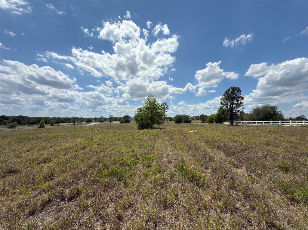 6115 RANCH LAKE ROAD, Groveland, FL 34736