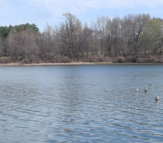 TBD CR 1503, Alba, TX 75410