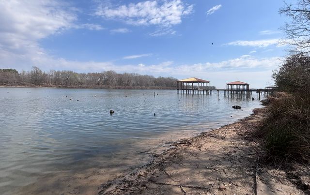 TBD CR 1503, Alba, TX 75410