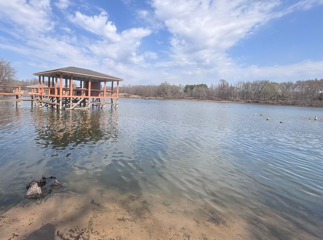 TBD CR 1503, Alba, TX 75410