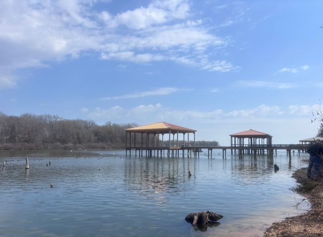 TBD CR 1503, Alba, TX 75410