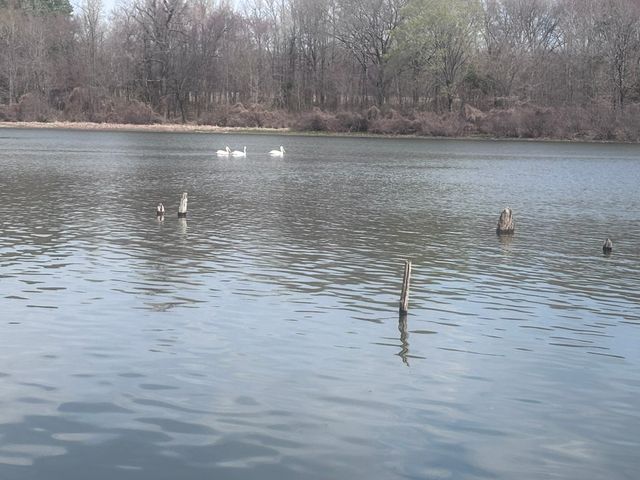 TBD CR 1503, Alba, TX 75410